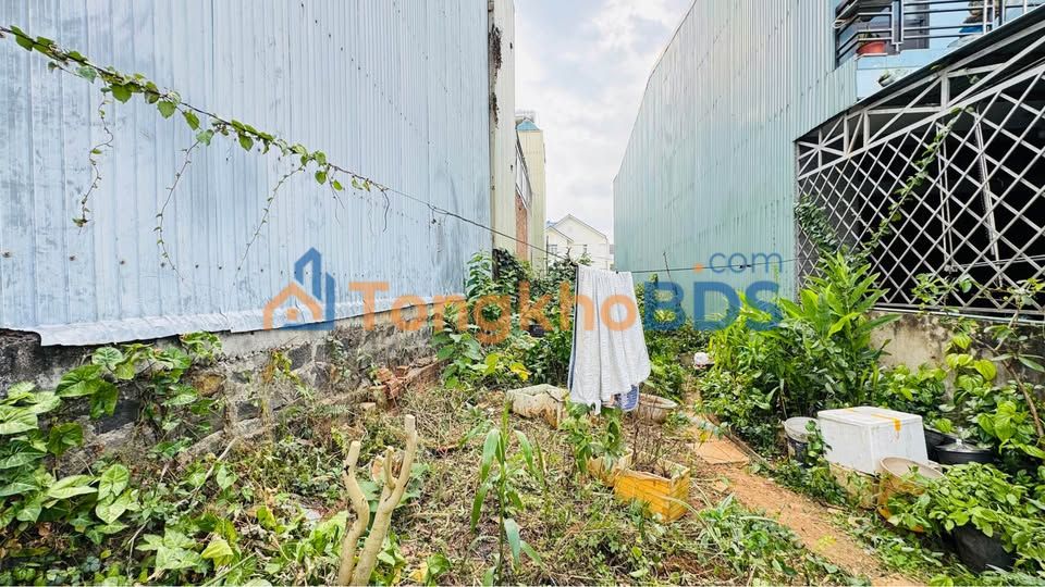 Đất nền Pleiku Phù Đổng 125m² 3.7 tỷ - Sổ đỏ chính chủ