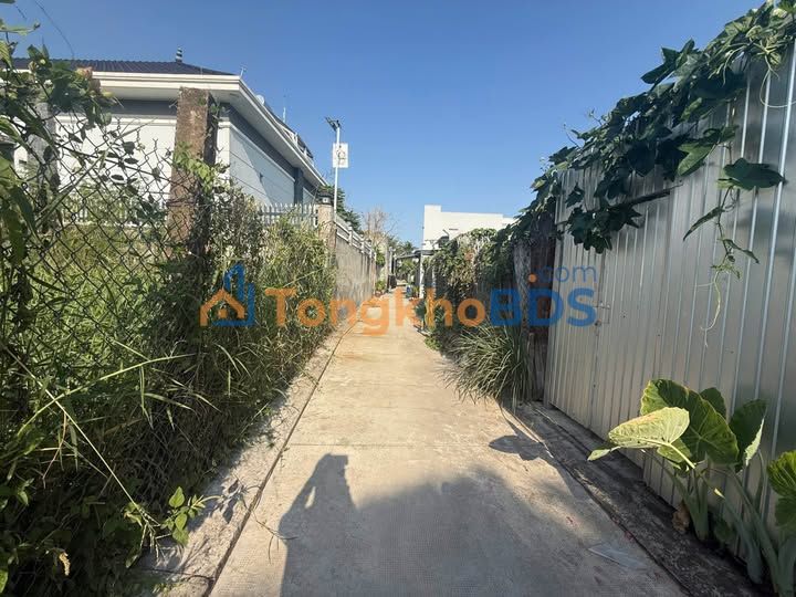 Bán Gấp 2 Nền Đất Phường 6 Cao Lãnh - 64m² Hướng Bắc, Giá 920 Triệu