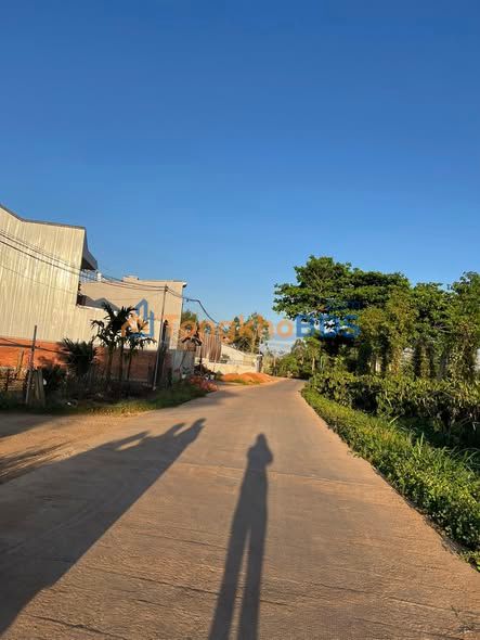 Đất Vàng Tuy Đức - Mặt Tiền Đường Thánh Anton, 281m², Giá 2 Tỷ