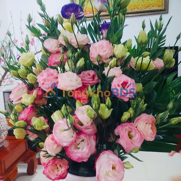 Bán đất An Phú Song Mai 82.5m² - Hướng Bắc, Gần Ngã 4