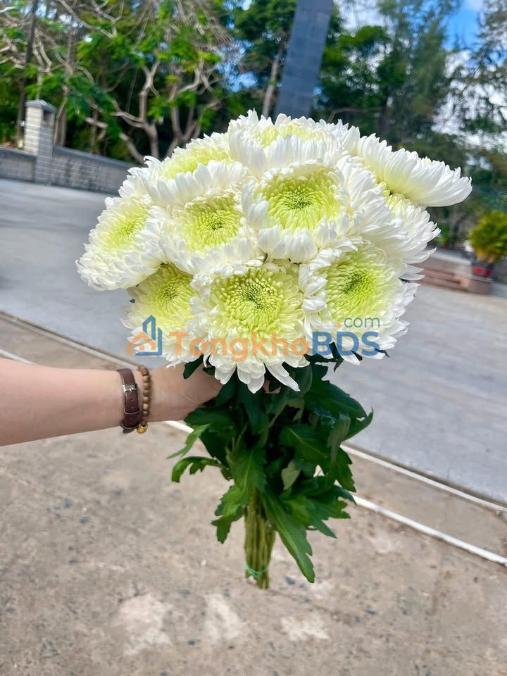 Đất nền Phường Đa Mai 70m² 1.5 tỷ - Đường to ô tô