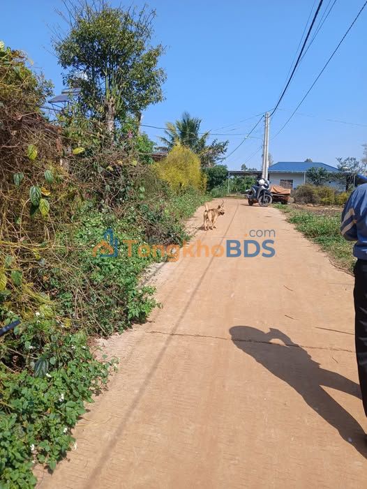 Đất nền Đức Mạnh, Đắk Nông - 259m² TC 100% - 620 triệu