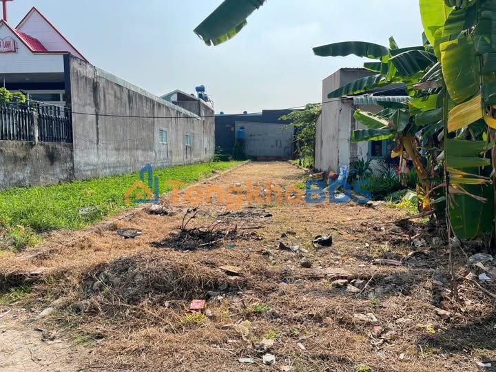 Đất nền Mỹ Hạnh Nam, Đức Hòa 231m² full thổ cư - Đầu tư xây trọ tiềm năng