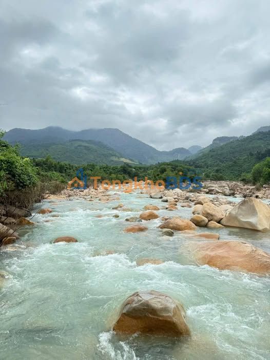Đất Vườn 12.000m² Khánh Hòa - View Suối Đẹp, Giá Chỉ 1.2 Tỷ