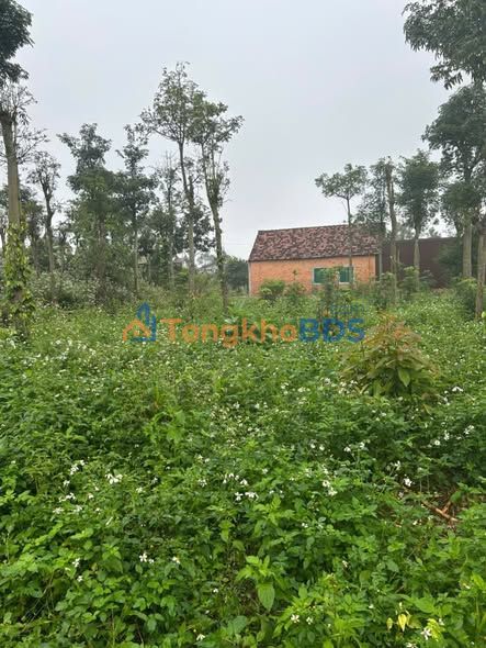 Đất Đắk Nông 175m² - Gần Bệnh Viện Mới Đắk Mil, Giá 650 Triệu