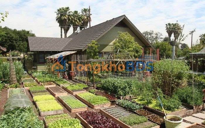 Đất Vườn 480m² Vũng Tàu - Sổ Riêng, Giá Chỉ 300 Triệu