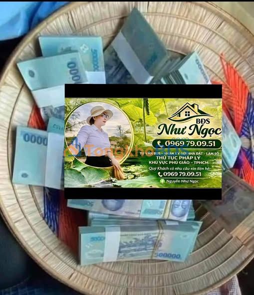 Bán Gấp Farm 21.440m² Mặt Tiền Cao Su, Phú Giáo, Bình Dương - Giá Tốt