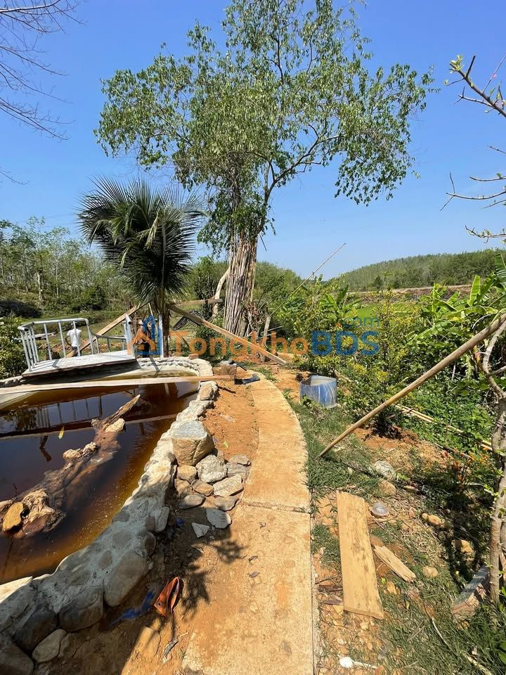 NHÀ VƯỜN ĐƯỜNG TRÁNH KON TUM 972m² giá 6xx - Sẵn sàng vào ở