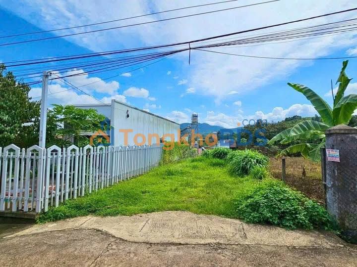 Đất 239m² Full Thổ Cư Hẻm Nguyễn Thiện Thuật, Bảo Lộc - Giá 1.85 Tỷ