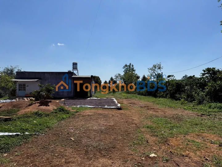 Bán Gấp Đất 1000m² Có Nhà Lộc An, Bảo Lâm - Giá 1.6 Tỷ