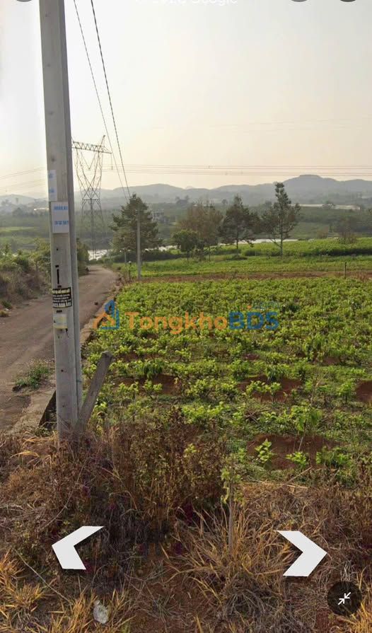 Đất Nền Lộc Châu, Bảo Lộc: View Hồ Mai Thành, 503m², Giá Từ 1.25 Tỷ