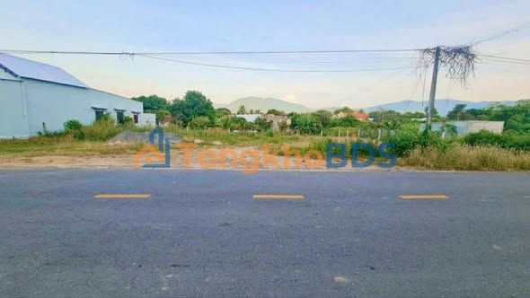 Đất thổ cư mặt tiền đường nhựa Ninh Hải, 174m² - 1.08 tỷ