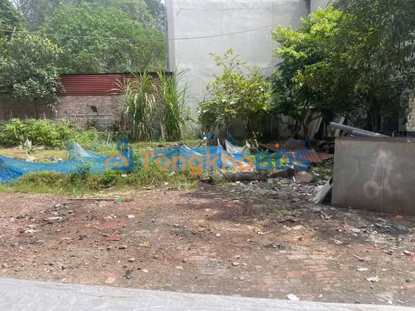 Đất Thổ Cư Lương Tài, Bắc Ninh 75m² - Sổ Đỏ, Gần KCN Quế Võ