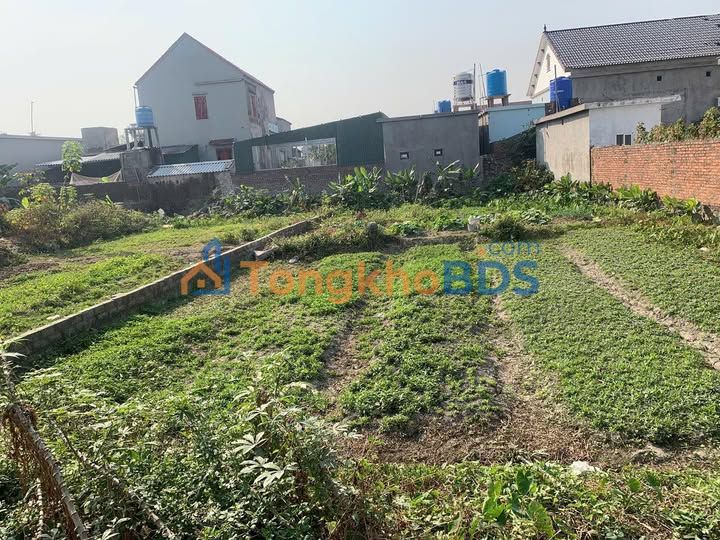 Bán đất Yên Đức 229.5m² - Vuông vắn, giá tốt, sổ sẵn