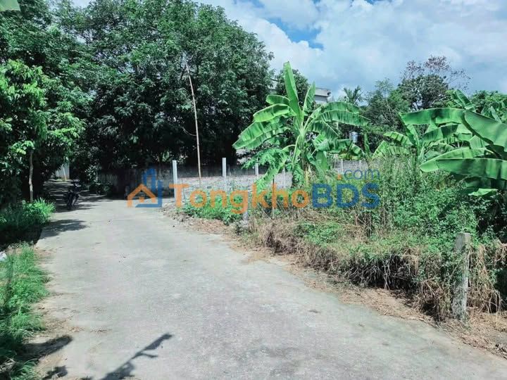 Đất Vĩnh Phúc 348m² Sổ Đỏ, Đường 12m Ô Tô Tránh Nhau - Giá 1.4 Tỷ