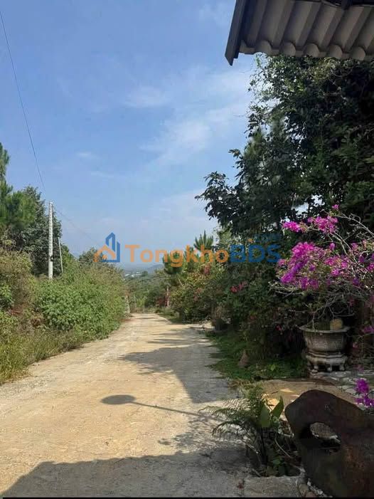 Bán Gấp Villa Sân Vườn 4000m² view Săn Mây, Đồi Núi tại Bảo Lâm, Lâm Đồng - Giá 5.8 Tỷ