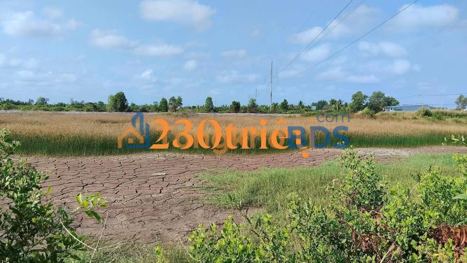 Đất Nền Cà Mau 100m² - Sổ Đỏ Thổ Cư - Giá Chỉ 230 Triệu