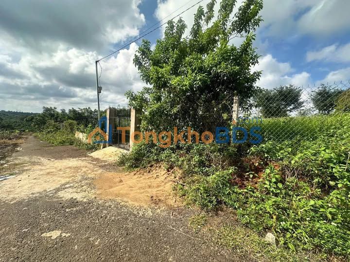 Đất Lộc An - Bảo Lâm 100m² thổ cư, view thoáng - Giá chỉ 750 triệu