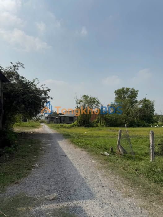 Bán Đất 814m² An Tịnh, Trảng Bàng, Tây Ninh - Sổ Hồng Sẵn Sàng