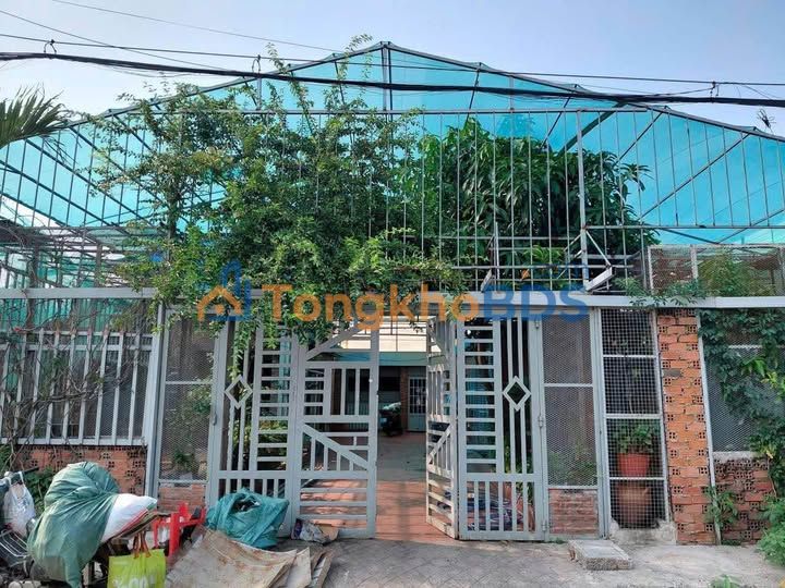 Cho thuê nhà vườn Hóc Môn 240m² - 12 triệu/tháng, không gian nghỉ dưỡng