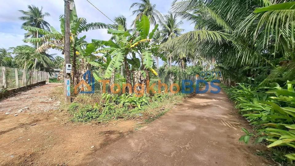 Đất Vườn Rộng 1100m² Sổ Đỏ Tại Hoài Nhơn, Bình Định - Giá 1 Tỷ