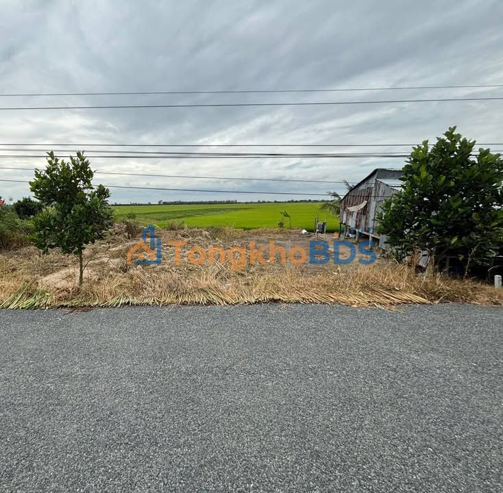 Đất Thổ Cư 150m² Xã Gáo Giồng, Đồng Tháp - Giá Chỉ 330 Triệu