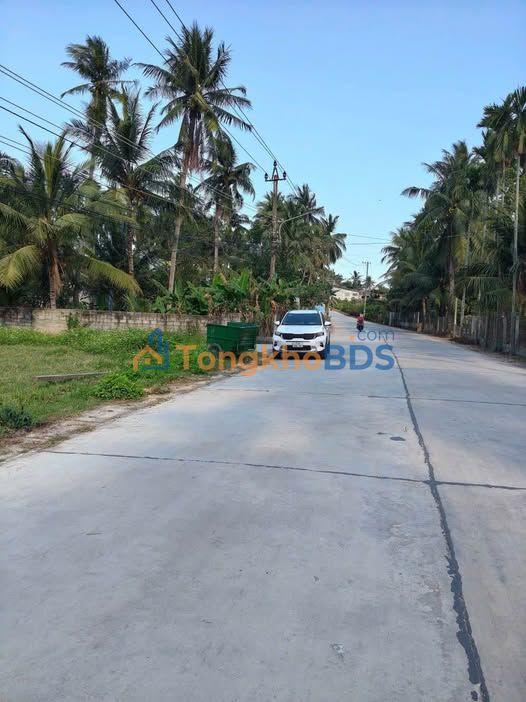 Bán Đất Lô Góc Mặt Tiền Phạm Hùng, Phù Mỹ - 162m² Full Thổ Cư