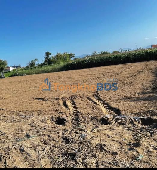 Đất vườn Phước Hiệp 1.200m² 500 triệu - Sổ hồng rõ ràng