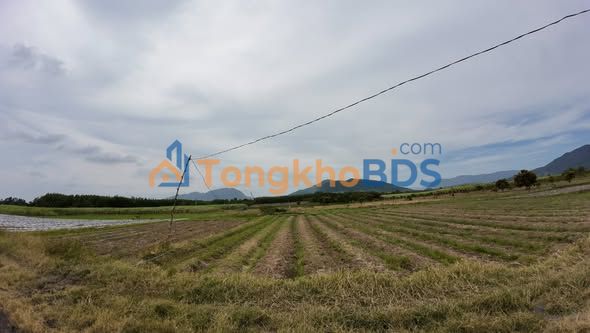 Đất nền Suối Cát Cam Lâm 2.177m² 1 tỷ – Sổ đỏ chính chủ