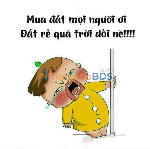 Đất Vườn Đắk Lắk 8.3 Sào Giáp Suối - Nghỉ Dưỡng Lý Tưởng