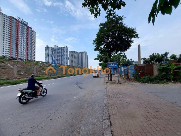 Đất Vàng Hoàng Mai 50m² Sổ Hồng Vuông Vức - Gần Gamuda
