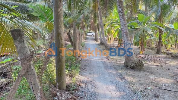 Bán Đất Nền 100m² Full Thổ Cư, Gần Mẹ Nam Hải, Tiền Giang