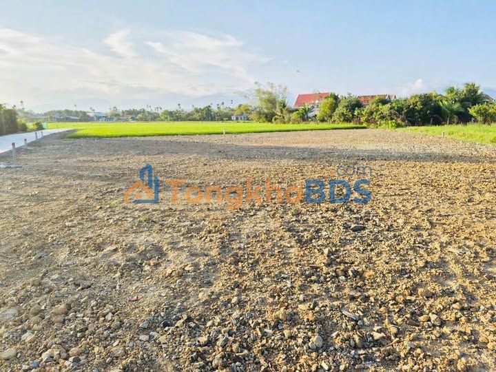 Đất nền Ninh Đông Ninh Hòa 111-182m² 3xx tr - Sổ đỏ chính chủ