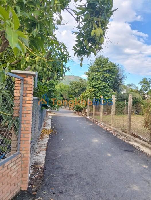 Đất nền Diên Điền 312m² 1,716 tỷ - Sổ đỏ chính chủ