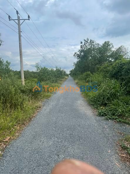 Đất nền Thạnh Hoà Tân Phước 11.165m² 2,2-3,3 tỷ - Sổ đỏ