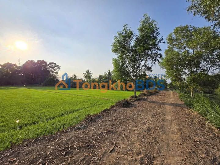 Đất Vườn Trà Vinh 18.000m² - View Kênh Thoáng Đãng, Giá Đầu Tư Hấp Dẫn