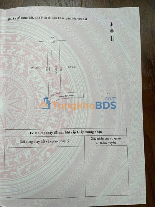 Đất Nền Sổ Hồng Xã Duy Trinh, Duy Xuyên - Giá Chỉ 3xx Triệu