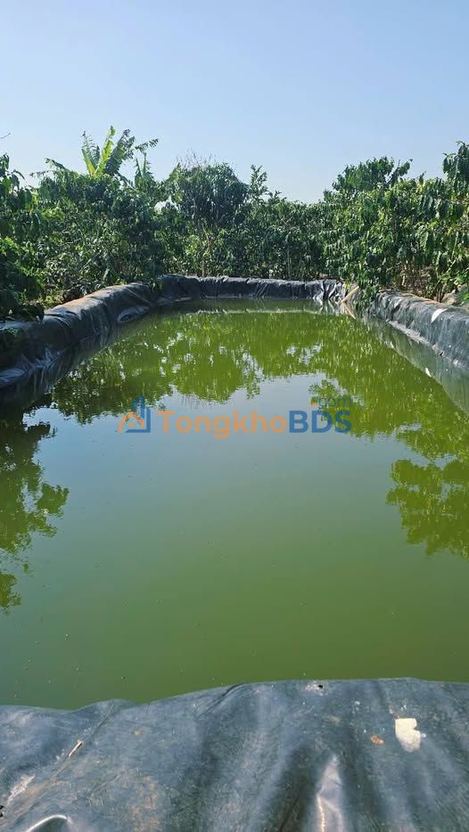 Bán Đất Nền Bảo Lộc 28800m² - Sổ Hồng Sẵn Sàng