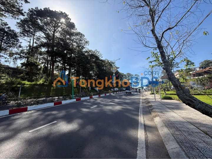 Bán Đất Đà Lạt 1100m² View Đồi Thông Đường 3/4 - Sẵn Sàng Xây Dựng