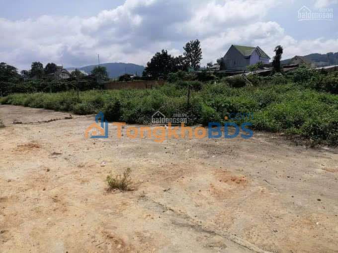 Đất Biệt Thự Tà Nung Đà Lạt 204m² - Sổ Hồng Full Thổ Cư, View Thoáng