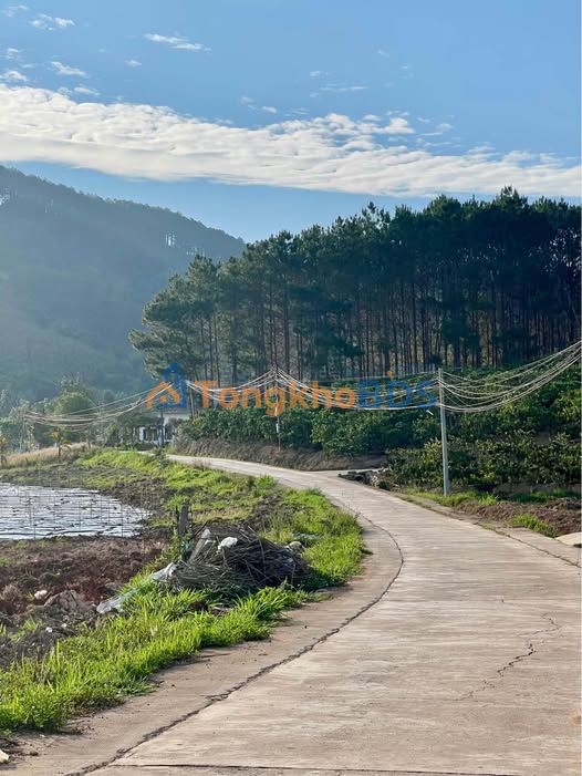 Đất Nền Đà Lạt 300m² Sổ Hồng Riêng - Cơ Hội Cuối Tại Khu Vila Hot