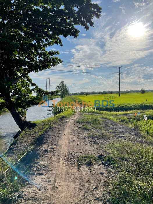 Đất Vĩnh Long 1264m² 3 Mặt Tiền Sát Cụm CN - Giá 420 Triệu