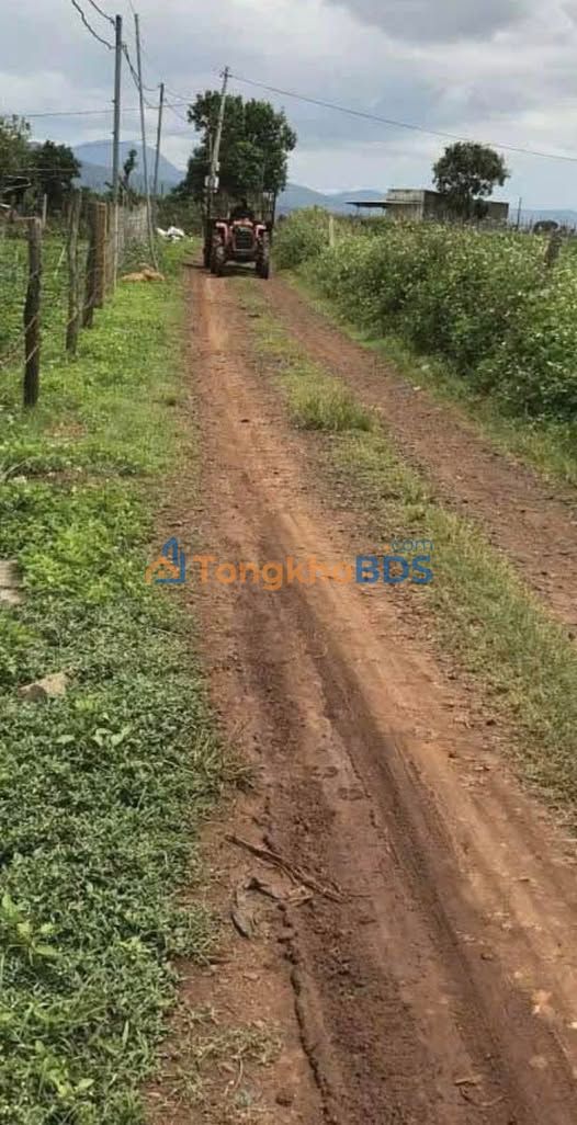 Bán Đất Nền Đà Lạt 11000m² - 2 Mặt Đường, Giá 7.7 Tỷ