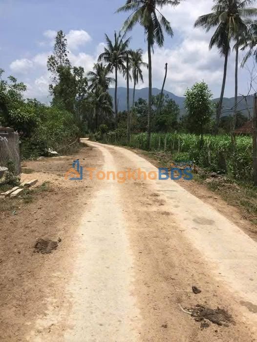 Đất Nền Gia Lai 7200m² Sổ Hồng Riêng - Đầu Tư Sinh Lời