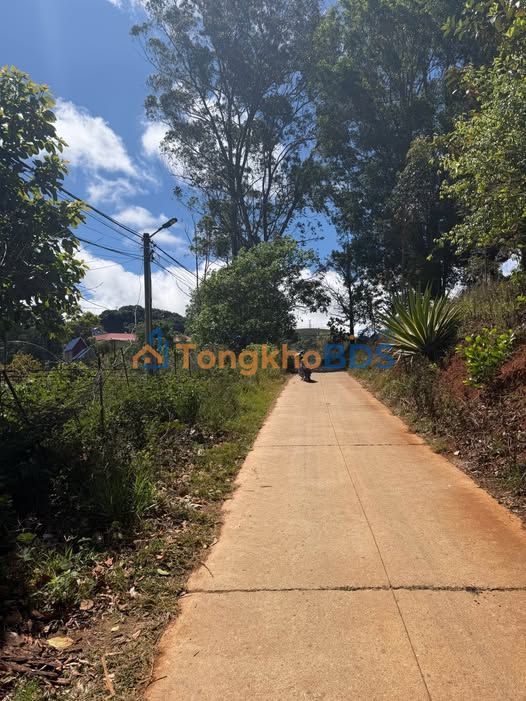 Đất Nền 2 Mặt Tiền Xuân Trường Đà Lạt 400m² Sổ Hồng Full Thổ Cư