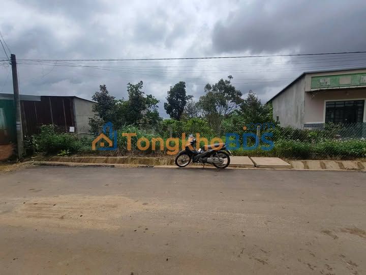 Bán Đất Mặt Tiền 481m² Đoàn Thị Điểm, Bảo Lộc - Sổ Đỏ Chính Chủ