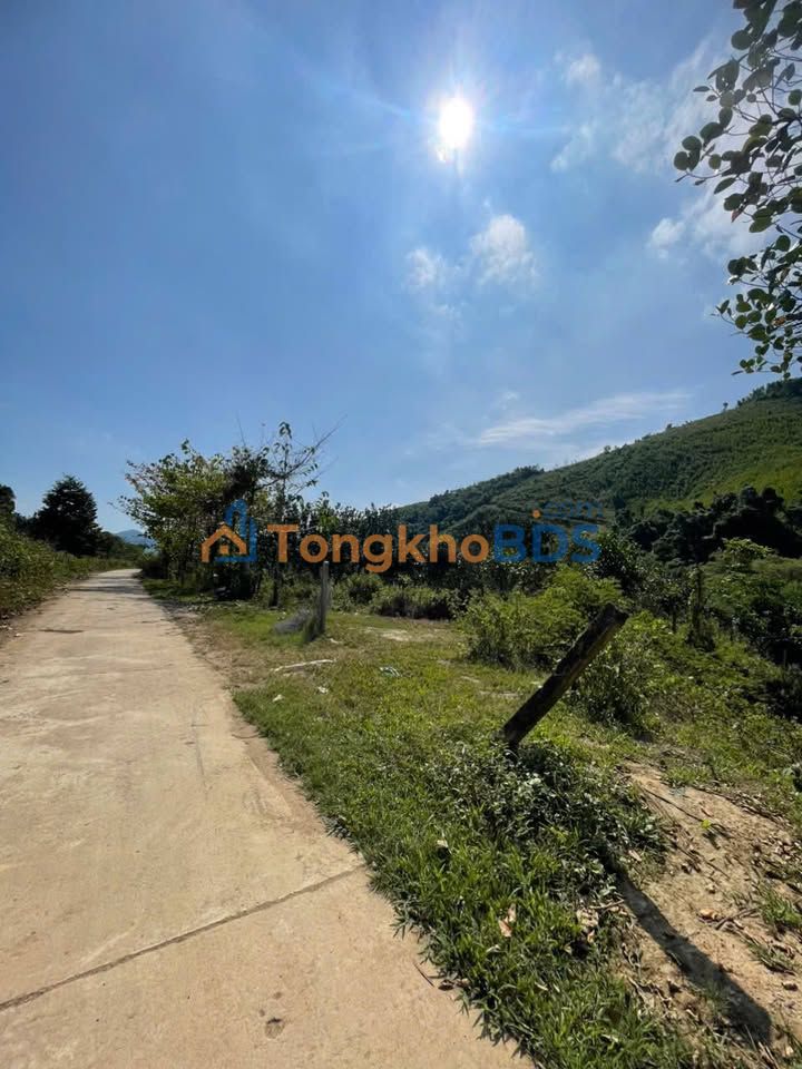 Bán Gấp Farm Nghỉ Dưỡng 5400m² Sổ Đỏ, View Sông Cầu, Khánh Vĩnh