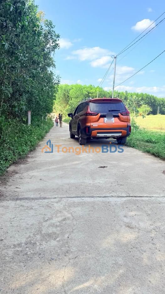 Đất Vườn Diên Tân 800m² Giá 350 Triệu - View Hồ Cây Sung Mát Mẻ