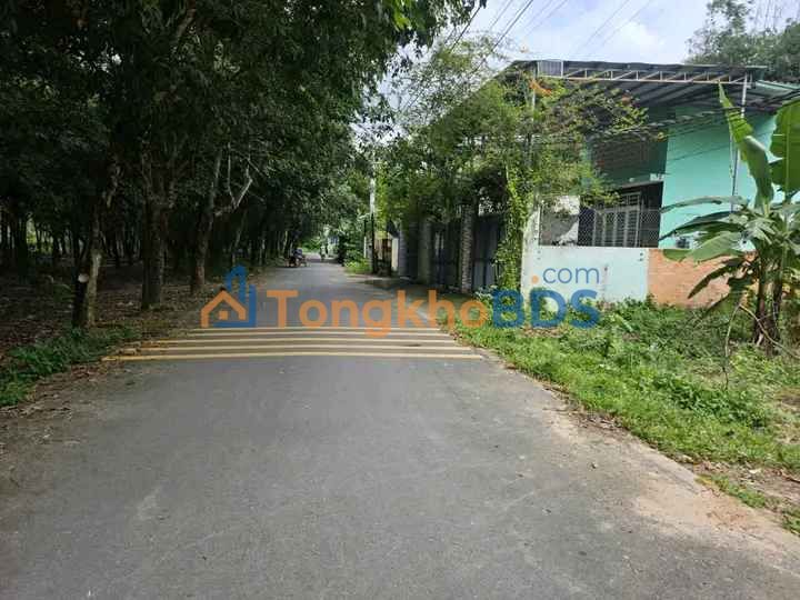 Đất Sổ Hồng Riêng 154m² Mặt Tiền Đường 6m, Phú Hữu, Thủ Đức - Giá 1.5 Tỷ