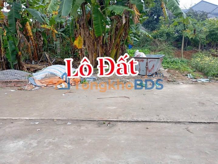 Đất thổ cư 125m² Bắc Ninh - Sổ đỏ sẵn, ô tô tránh, gần KCN Quế Võ